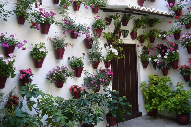 Guided Tour to the Popular Patios of Cordoba - Practical Details & Tips