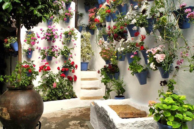 Guided Tour to the Popular Patios of Cordoba - What Do Reviewers Say?