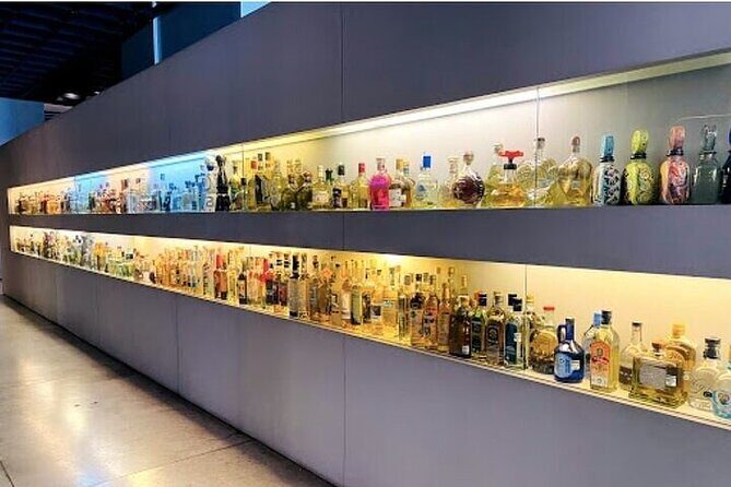 Guided Tour to the Tequila and Mezcal Museum - Discovering the Museum and Its Setting