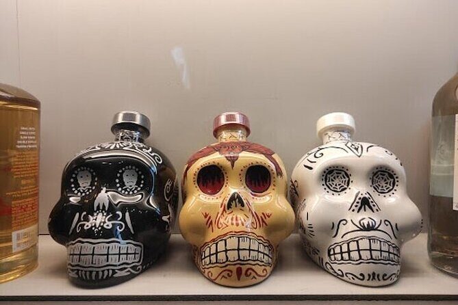 Guided Tour to the Tequila and Mezcal Museum - Practical Tips for Travelers