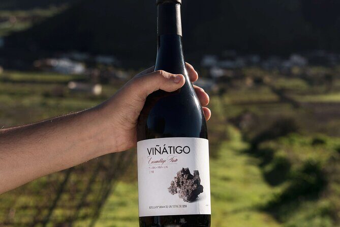 Guided Tour with 6 Wine Tasting - FAQ