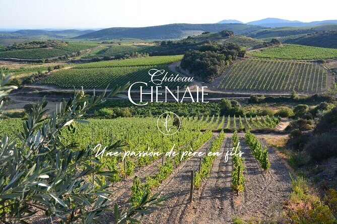 Guided tour with a winemaker: From the vine to the glass... - Experience the Journey of French Wine: Guided Tour with a Winemaker at Château Chênaie