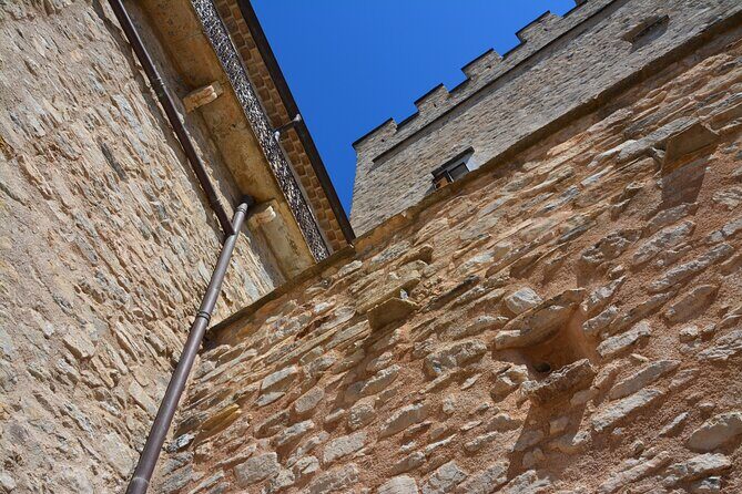 Guided tour with a winemaker: From the vine to the glass... - Who Should Consider This Tour?