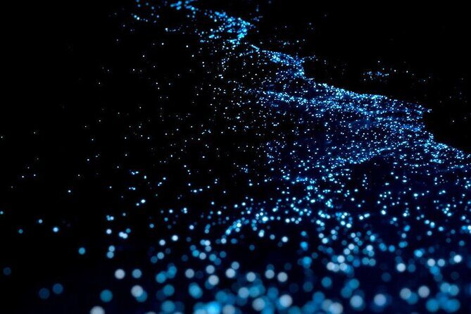 Guided Tour with Horseback Riding and Bioluminescence in Puerto Escondido - Introduction: An Adventure of a Different Kind