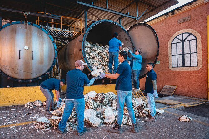 Guided Tour with Tasting in Tequilera Hacienda de Oro - Key Points