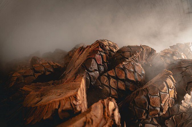 Guided Tour with Tasting in Tequilera Hacienda de Oro - The Authentic Touch & Reviews