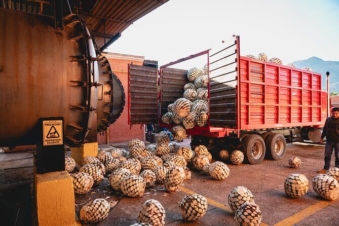 Guided Tour with Tasting in Tequilera Hacienda de Oro - Final Thoughts