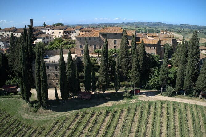 Guided tour with wine tasting and local organic products - An In-Depth Look at the Winery Tour Experience