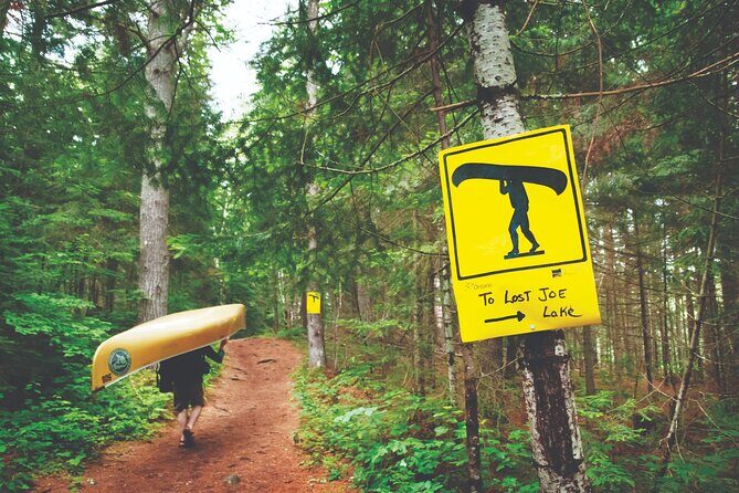 Guided Tours Algonquin Park - An In-Depth Look at the Tour Experience