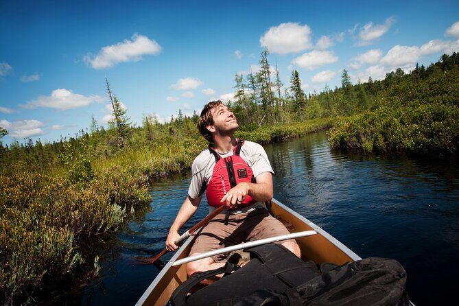 Guided Tours Algonquin Park - The Sum Up