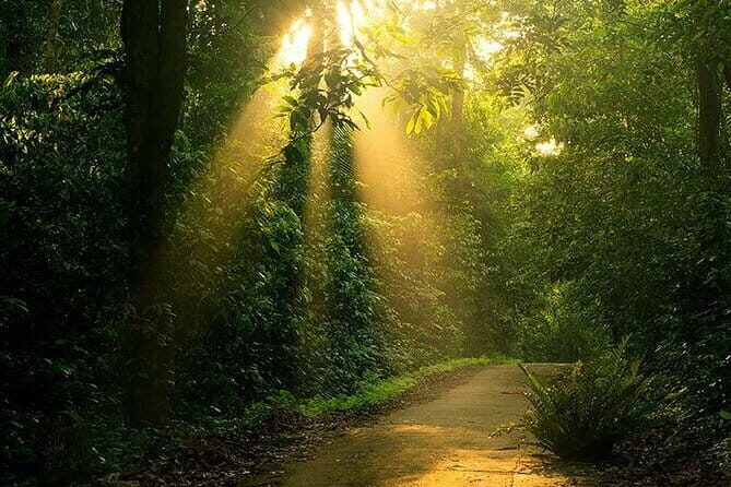 Guided trekking in the natural beauty of Cuc Phuong National Park - Key Points