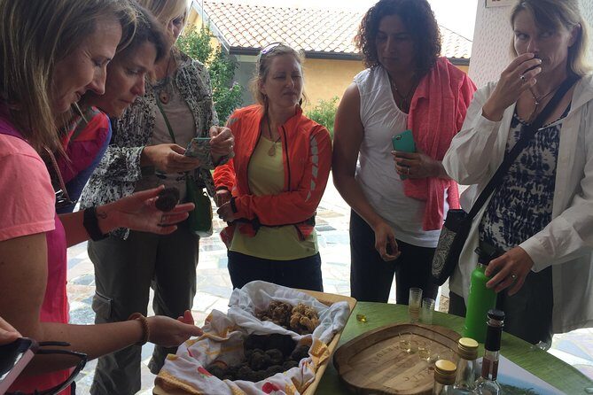 Guided Truffle Hunt Istria - Final Thoughts