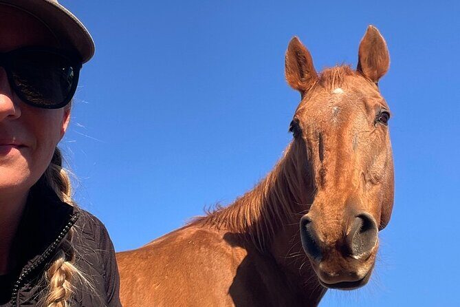 Guided Two Hour Horseback Trail Ride in Central Florida - The Ride’s Strengths and Considerations