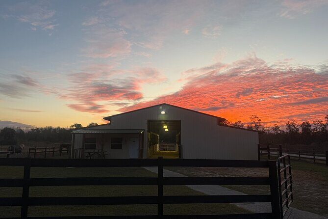 Guided Two Hour Horseback Trail Ride in Central Florida - Practical Tips for Travelers