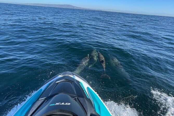 Guided Two hours Jetski Coastal Tour - Key Points