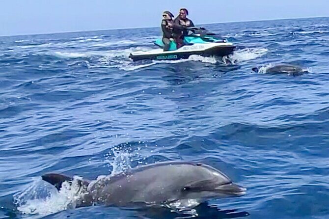 Guided Two hours Jetski Coastal Tour - What to Expect from the Guided Jet Ski Coastal Tour in Long Beach