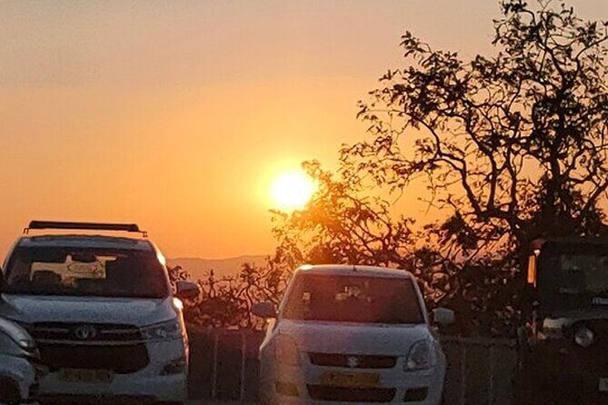 Guided Udaipur Sightseeing Tour - In-Depth Review of the Udaipur Sightseeing Tour