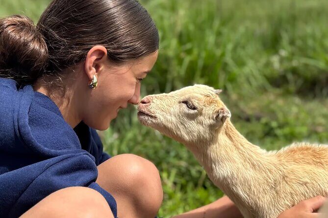 Guided UTV Ride-Along Tour on the Big Island - What to Expect at Each Stop