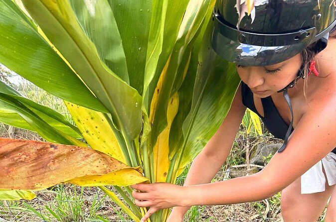 Guided UTV Ride-Along Tour on the Big Island - Practical Tips for Travelers