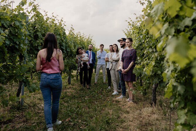 Guided Visit and Wine Tasting at the Winery in Veneto - FAQs