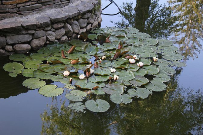 Guided visit in Spanish to the Castle of Dracula in Bran (native Spanish guide). - Final Thoughts