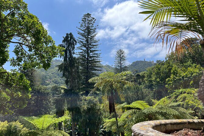 Guided Visit to Palacio da Regaleira - Who Might Want to Consider Alternatives?