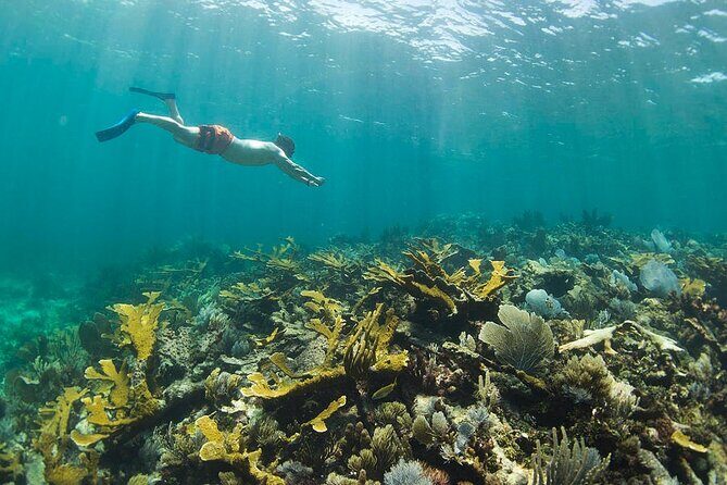 Guided Visit to Puerto Morelos with Snorkeling Included - What the Tour Promises