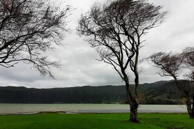 Guided Visit to the Crater and Volcano of Lagoa das Sete Cidades - What Travelers Say