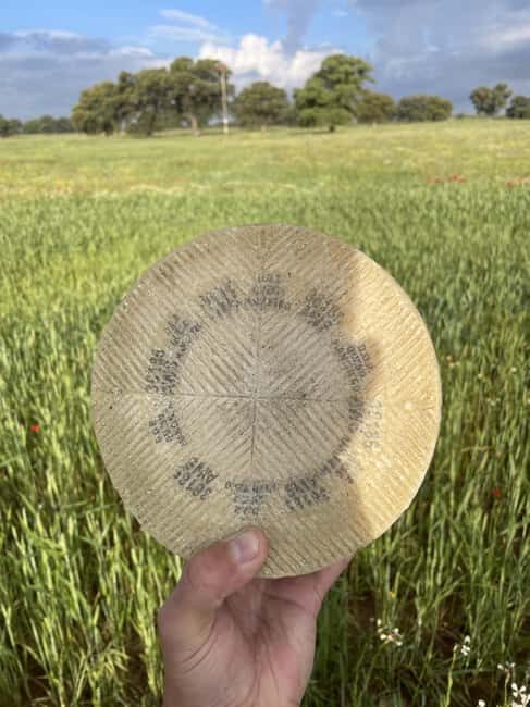 Guided visit to the Las Terceras cheese farm - The Sum Up