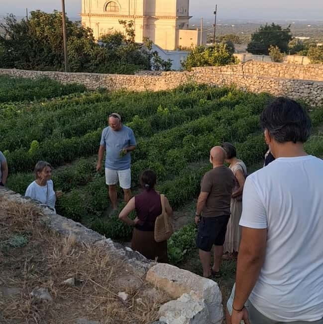 Guided visit to the Medieval Gardens of Ostuni - Key Points