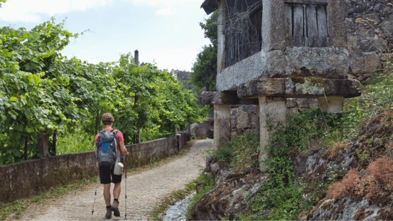 Guided Walk & Picnic Peneda Gerês National Park - Why This Tour Offers Good Value
