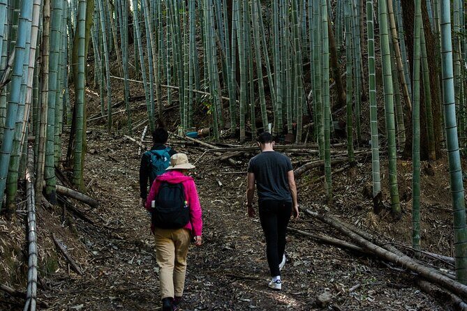 Guided Walking Ohenro Pilgrimage Experience in Dogo Hot Spring - The Tour in Detail