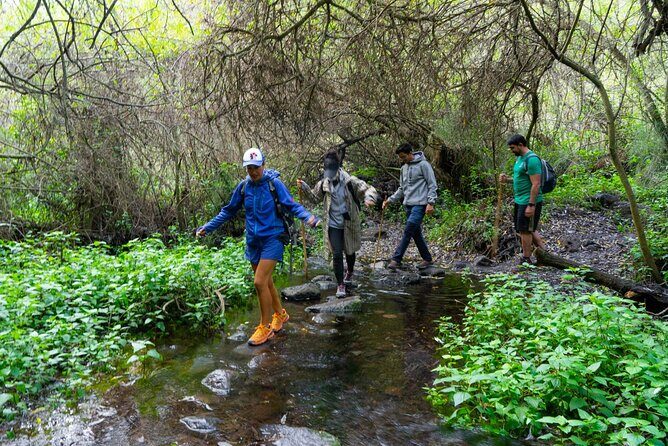 Guided Walking Route to Caldera de Taburiente - The Sum Up