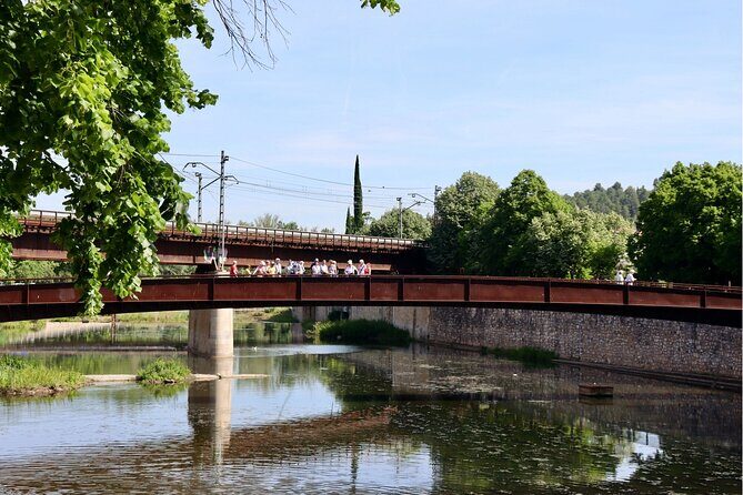Guided Walking Tour in Girona - Key Points