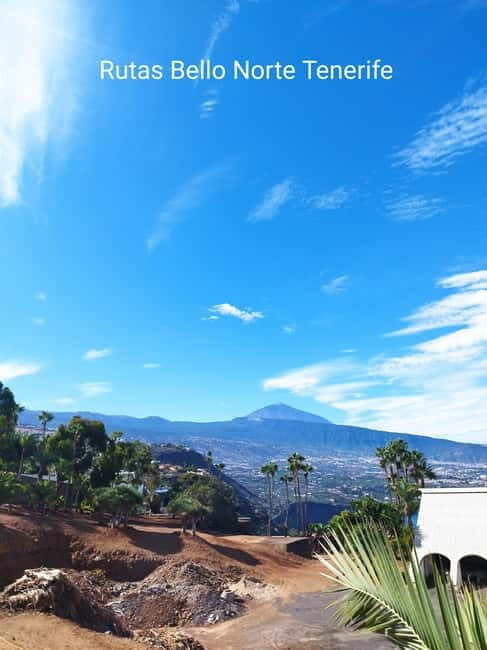Guided walking tour in La Orotava 1:30 min, Tenerife - Who Will Love This Tour?