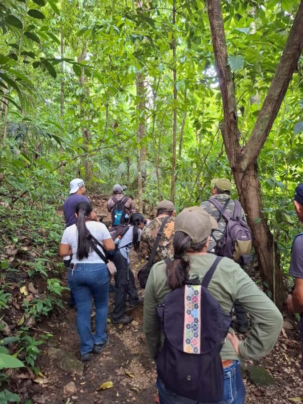 Guided walking tour in the Palenque jungle (Palenque National Park) - Frequently Asked Questions