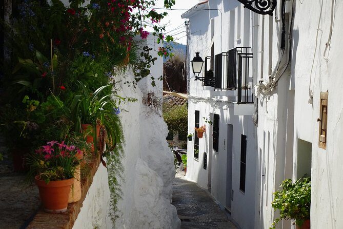 Guided Walking Tour of the Old Town of Frigiliana - Key Points