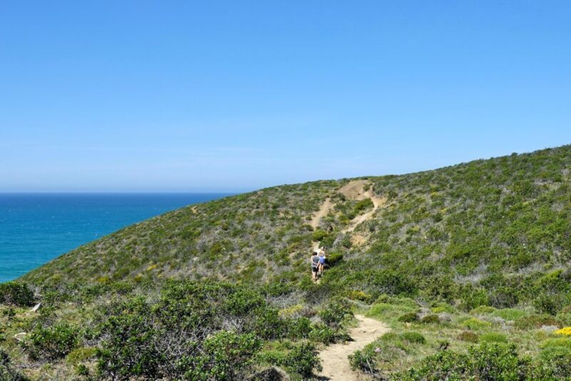 Guided Walk+Picnic: Western Algarve´s Wild Beauty - The Experience in Detail