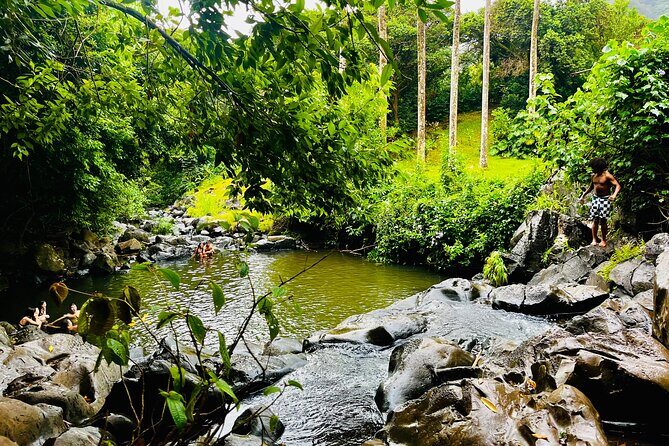 Guided Waterfall and Jungle Hiking Tour - An In-Depth Look at the Tour Itinerary