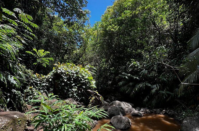 Guided Waterfall and Jungle Hiking Tour - FAQs