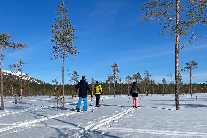 Guided Wilderness Skiing Tour In Pyhätunturi - Key Points