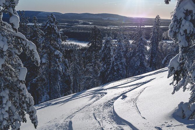 Guided Wilderness Skiing Tour In Pyhätunturi - The Practical Details: Price, Duration, and What You Get
