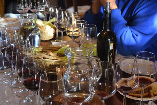 Guided Wine and Olive oil tasting - What to Expect from the Experience