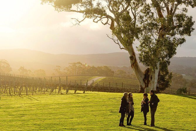 Guided Wine Journey and Discovery Tasting Tour in Adelaide - Practical Details and Value