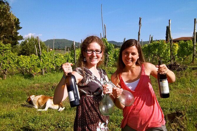 Guided Wine Tasting Experience in a Roman Vineyard - A Deep Dive into the Roman Vineyard Experience