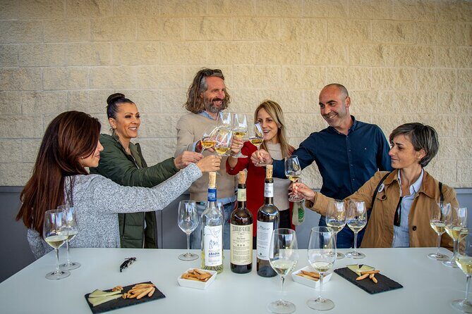 Guided Winery tour and Wine tasting in Pontevedra - The Sum Up