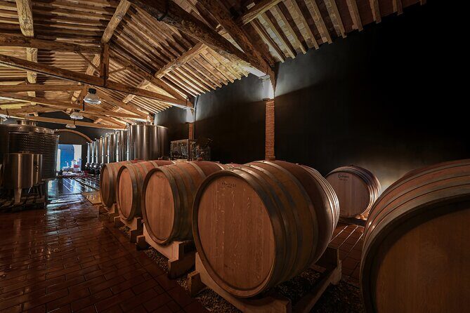 Guided Winery Tour and Wine Tasting in Siena - A Deep Dive into the Experience