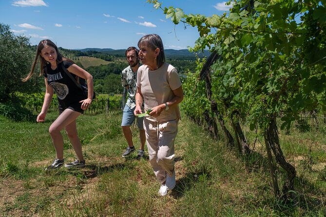 Guided Winery Tour and Wine Tasting in Siena - Who Should Consider This Tour?