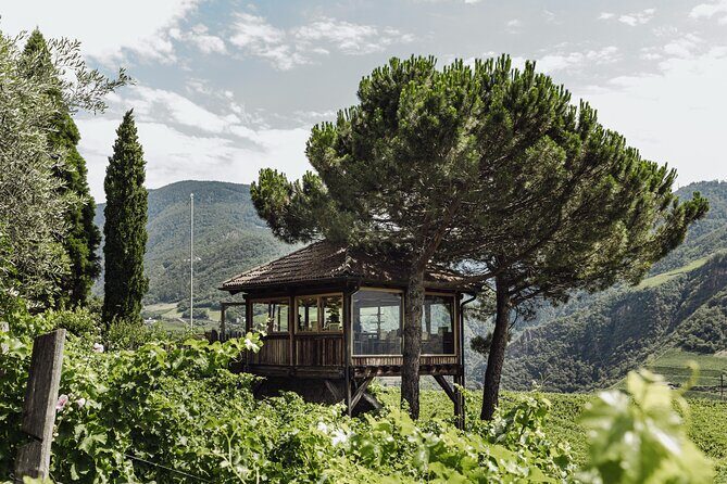 Guided winery tour with tasting in Bolzano at the SKYWINE PAVILLON - Key Points