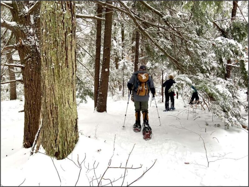 Guided Winter Snowshoe Adventure from Boston - Practical Details and Tips